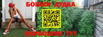 гидропоника Краснокаменск