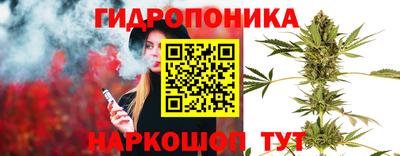 бошки Краснодар