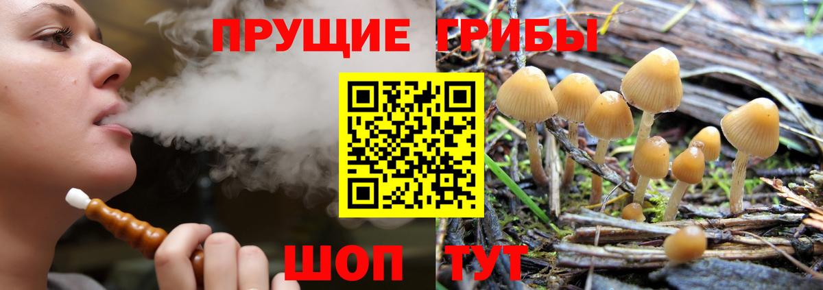 Псилоцибиновые грибы GOLDEN TEACHER  Вход с VPN  Ульяновск 
